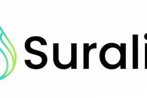 suralis suralis