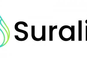 suralis