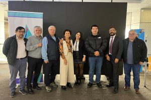 noticia andess (22) noticia andess (22)